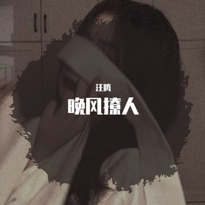 南风北巷（翻自 邵帅）