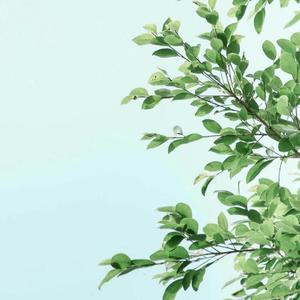 苦夏——记木苏里《某某》