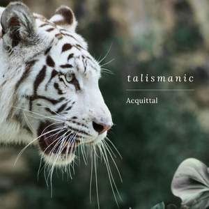 Talismanic