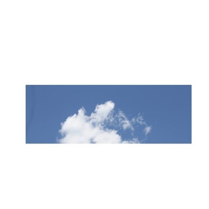 cirrus