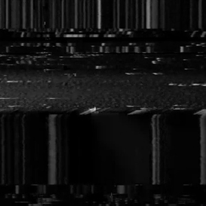 Never Did You Wrong (feat. L4 S4N)