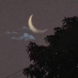 见一面吧 别在梦里（Prod.Jinanastici.X）