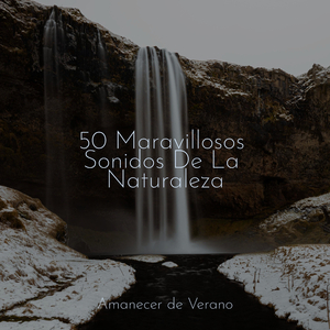 Danza de la Luna Silenciosa en Ondas