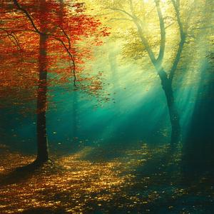 Sipping Quiet Reflections