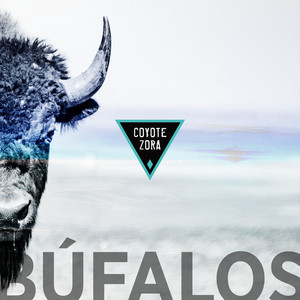 Búfalos