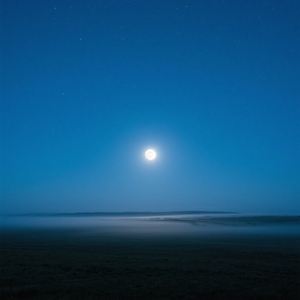 klecus's Dreams of Toast and Jam