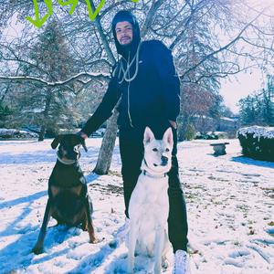 Low Credit (Berry Vibes)