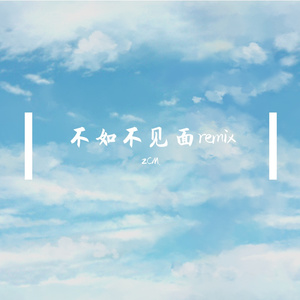 不如不见面（2CM. remix）