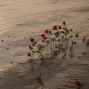 在潮湿难捱的海边我想遇见你（Pro by SCORPION）