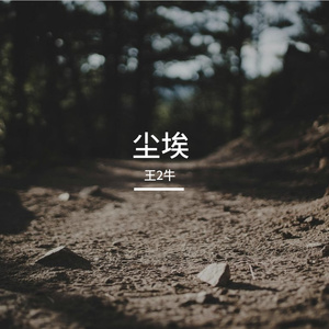 尘埃