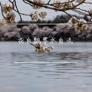 秋草生