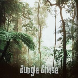Jungle Chase