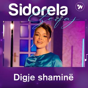 Digje shaminë
