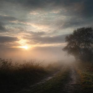 Brighter Days Will Come