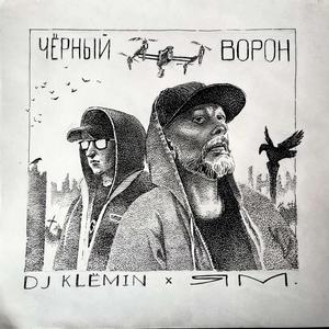 Чёрный ворон