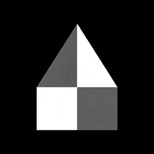 Shadows That Melt in Snow