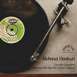 Mecnun Gibi Ben de Çıkam Dağlara