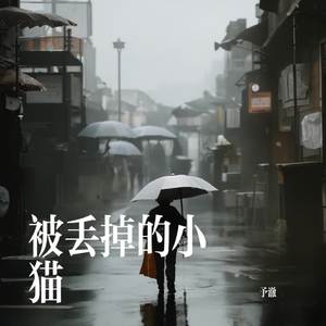 被丢掉的小猫