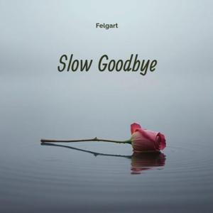 SlowGoodbye