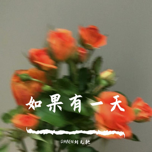 如果有一天 伴奏