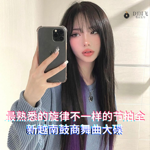 DJ国飞-最熟悉的旋律不一样的节拍全新越南鼓商舞曲大碟（DJ国飞 remix）