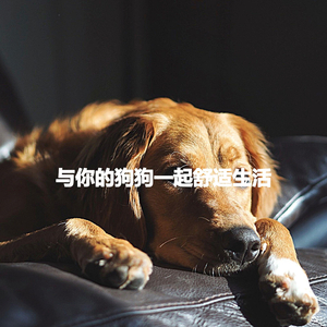 Modern Moods for Discovering Times