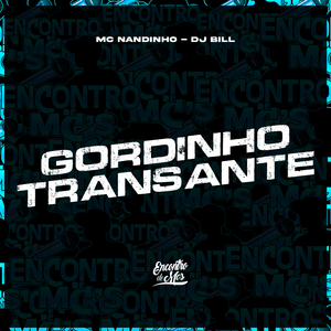 Gordinho Transante