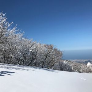 最冷一天-（cover张国荣）