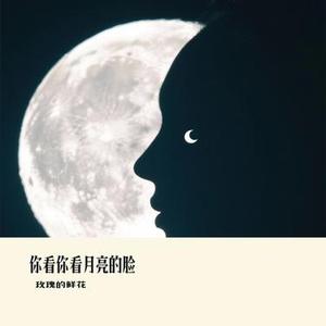 你看你看月亮的脸 (Cover 大头针Official)