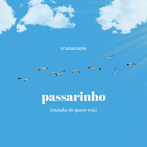 Passarinho (Canção de Quem Voa)