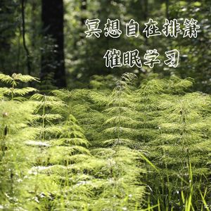 落花 禅修冥想曲