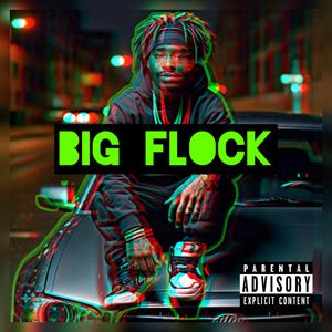 BIG FLOCK