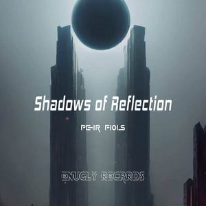 Shadows of Reflection