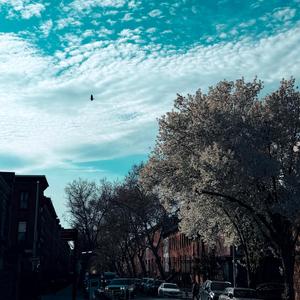 Spring