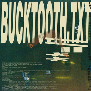 Paukščių Stebėjimas