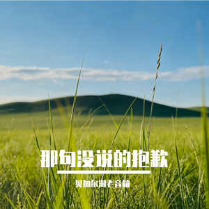 那句没说的抱歉