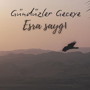 Gündüzler Geceye