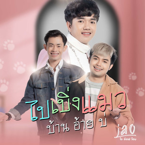 ไปเบิ่งแมวบ้านอ้ายบ่