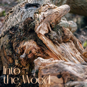 Out of the Wood