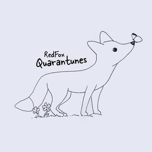 Song for the Little Ones (Isolation Version)