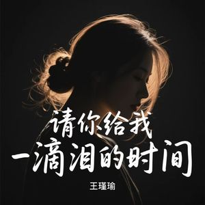 请你给我一滴泪的时间