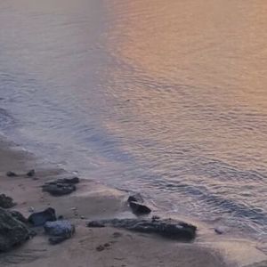 今年的夏天