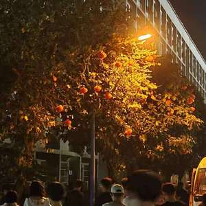 世界上的另一个我_2022-03-28_143237