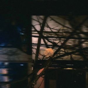 人间一趟 发财至上