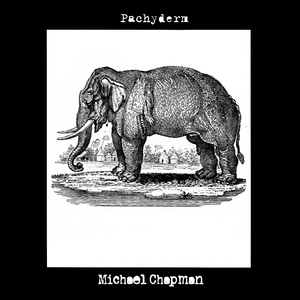 Pachyderm