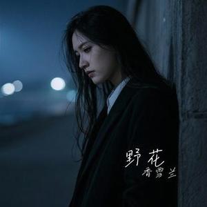 以后的以后 (Cover 庄心妍)