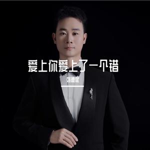 我的爱只有一半是对