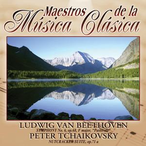 Nutcracker Suite, Op.71A - Danse Chinoise