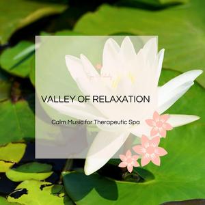 Solitude Is Bliss (Ambient Space Wave)