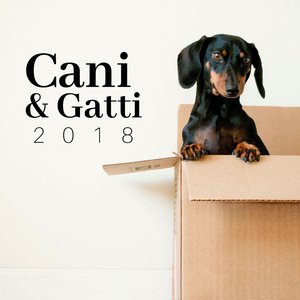 Rilassamento dei nostri Amici